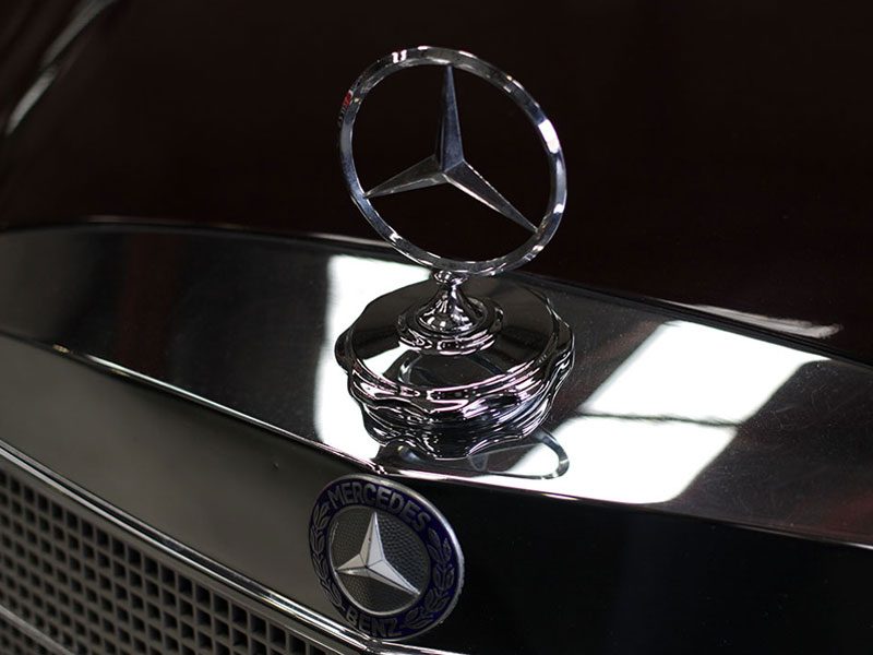 Mercedes-Benz lover